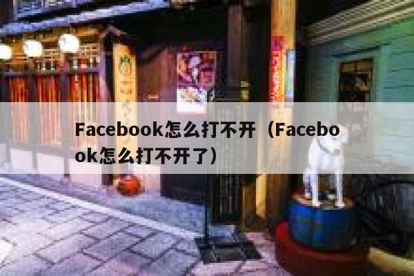 Facebook怎么打不开（Facebook怎么打不开了） 第1张
