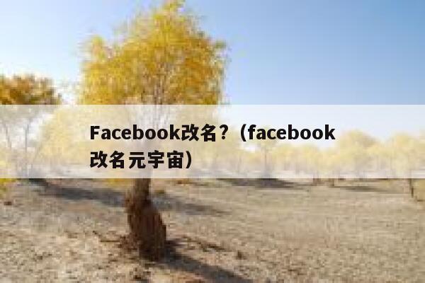 Facebook改名?（facebook改名元宇宙） 第1张