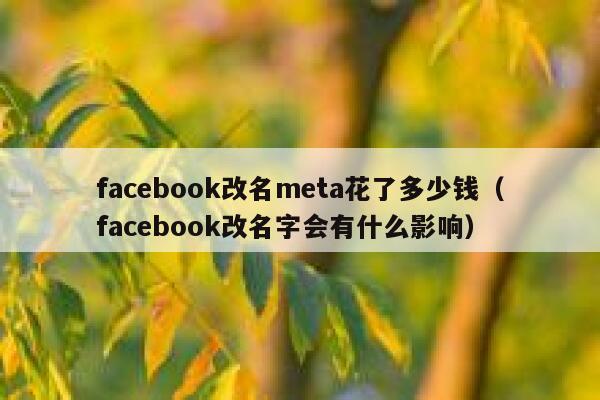 facebook改名meta花了多少钱（facebook改名字会有什么影响） 第1张