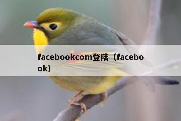 facebookcom登陆（facebook） 第1张