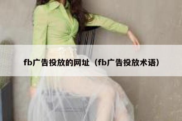 fb广告投放的网址（fb广告投放术语） 第1张
