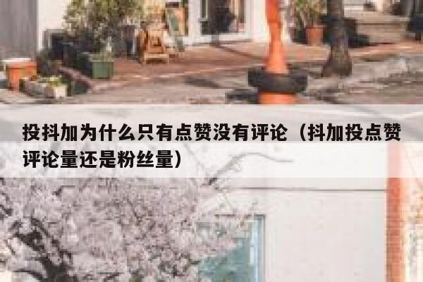 投抖加为什么只有点赞没有评论（抖加投点赞评论量还是粉丝量） 第1张