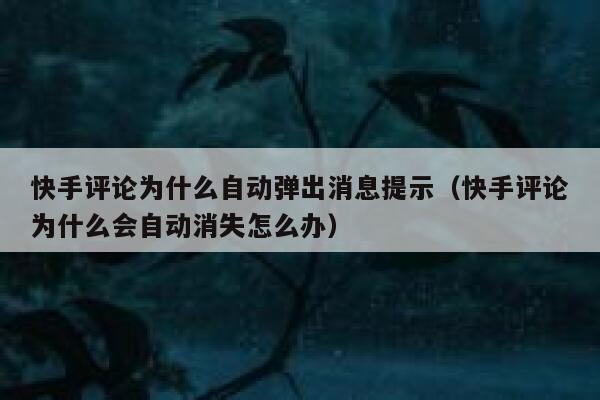 快手评论为什么自动弹出消息提示（快手评论为什么会自动消失怎么办） 第1张