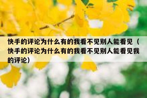 快手的评论为什么有的我看不见别人能看见（快手的评论为什么有的我看不见别人能看见我的评论） 第1张