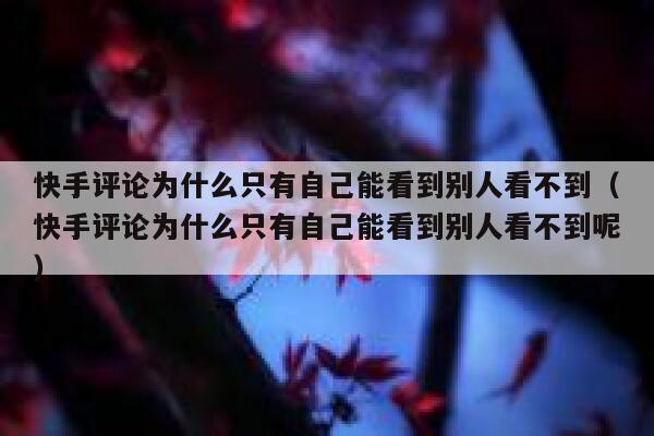 快手评论为什么只有自己能看到别人看不到（快手评论为什么只有自己能看到别人看不到呢） 第1张