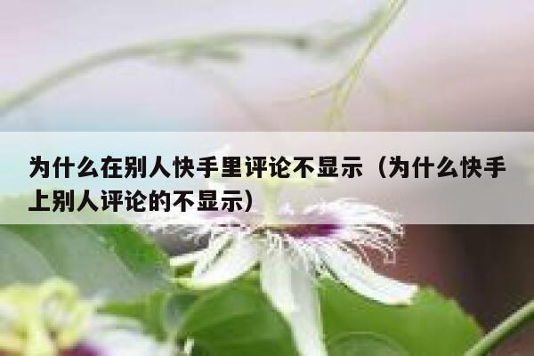 为什么在别人快手里评论不显示（为什么快手上别人评论的不显示） 第1张