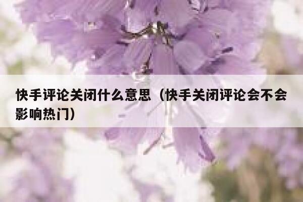 快手评论关闭什么意思（快手关闭评论会不会影响热门） 第1张