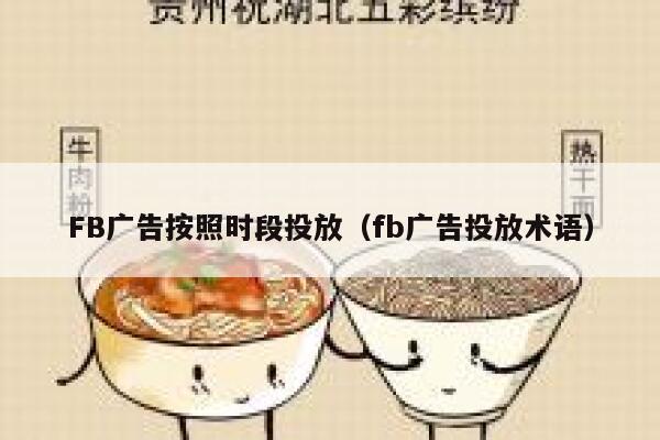 FB广告按照时段投放（fb广告投放术语） 第1张