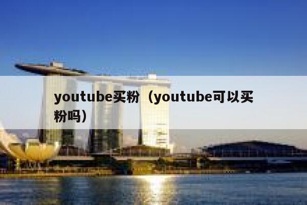 youtube买粉（youtube可以买粉吗） 第1张