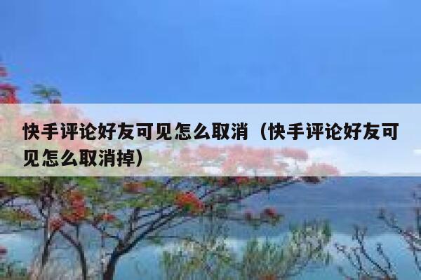 快手评论好友可见怎么取消（快手评论好友可见怎么取消掉） 第1张