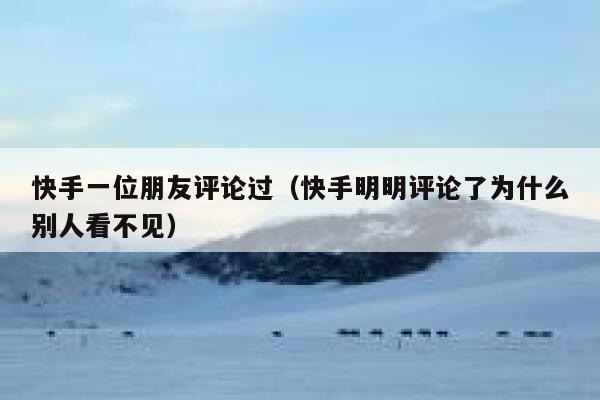 快手一位朋友评论过（快手明明评论了为什么别人看不见） 第1张