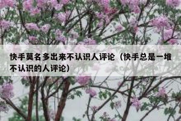 快手莫名多出来不认识人评论（快手总是一堆不认识的人评论） 第1张