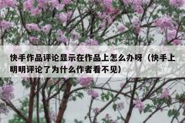 快手作品评论显示在作品上怎么办呀（快手上明明评论了为什么作者看不见） 第1张