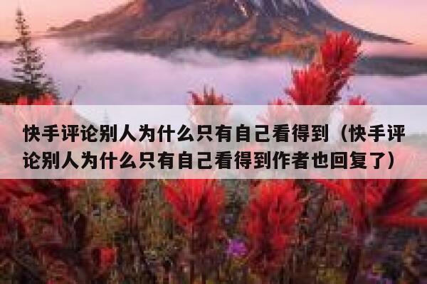 快手评论别人为什么只有自己看得到（快手评论别人为什么只有自己看得到作者也回复了） 第1张