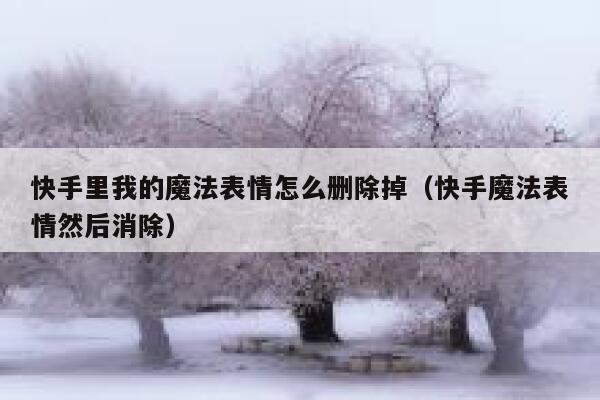 快手里我的魔法表情怎么删除掉（快手魔法表情然后消除） 第1张