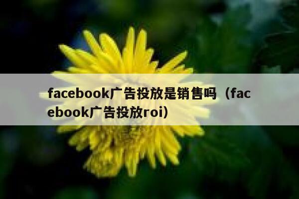 facebook广告投放是销售吗（facebook广告投放roi） 第1张