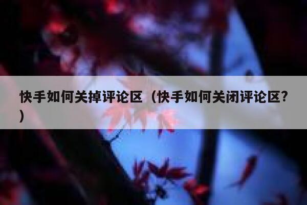 快手如何关掉评论区（快手如何关闭评论区?） 第1张