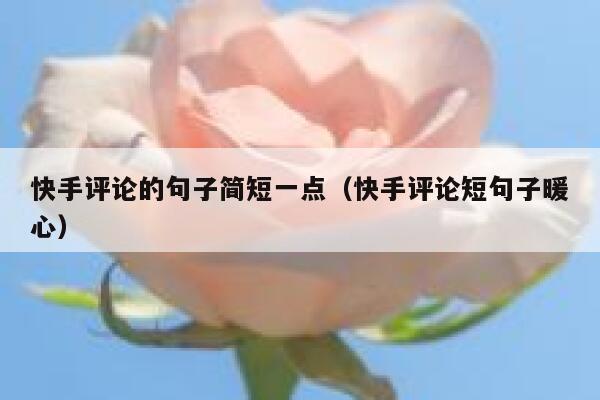 快手评论的句子简短一点（快手评论短句子暖心） 第1张