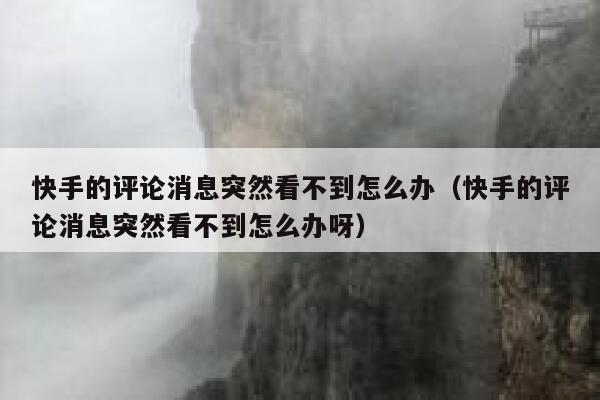 快手的评论消息突然看不到怎么办（快手的评论消息突然看不到怎么办呀） 第1张