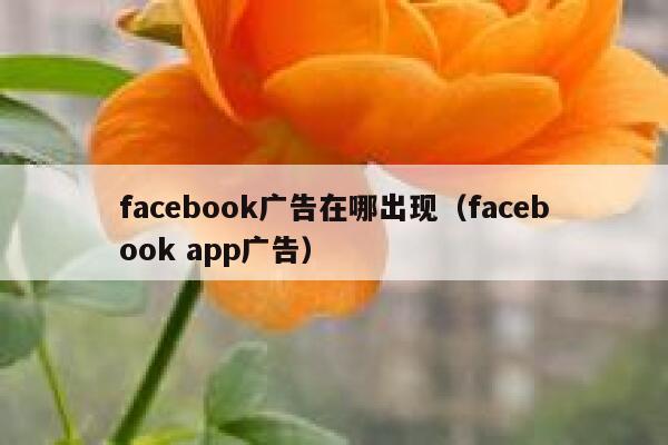 facebook广告在哪出现（facebook app广告） 第1张