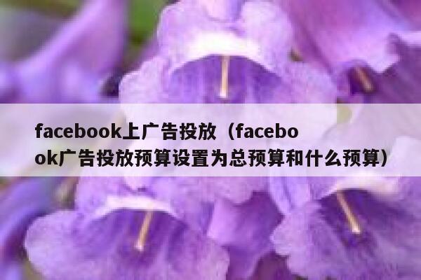 facebook上广告投放（facebook广告投放预算设置为总预算和什么预算） 第1张