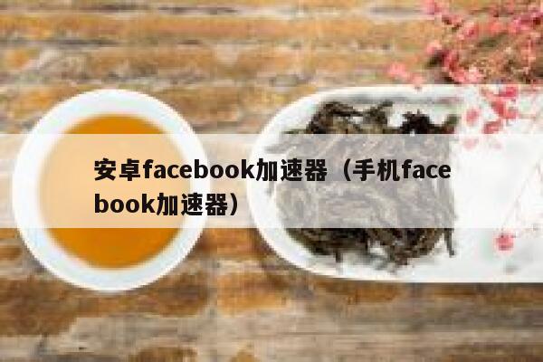 安卓facebook加速器（手机facebook加速器） 第1张