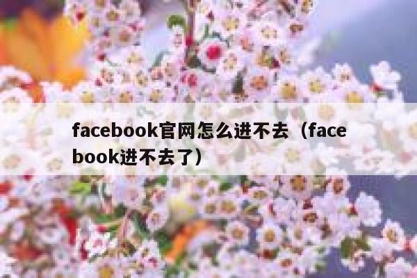 facebook官网怎么进不去（facebook进不去了） 第1张