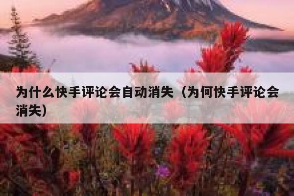 为什么快手评论会自动消失（为何快手评论会消失） 第1张