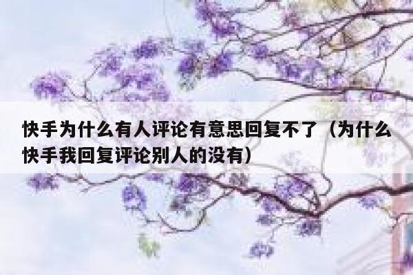 快手为什么有人评论有意思回复不了（为什么快手我回复评论别人的没有） 第1张