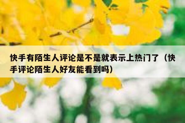 快手有陌生人评论是不是就表示上热门了（快手评论陌生人好友能看到吗） 第1张