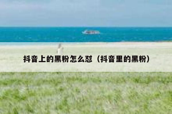 抖音上的黑粉怎么怼（抖音里的黑粉） 第1张
