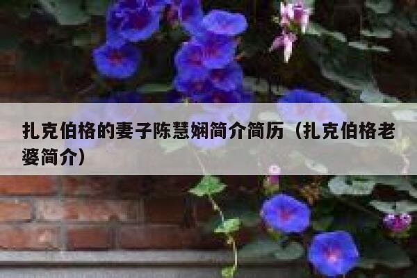 扎克伯格的妻子陈慧娴简介简历（扎克伯格老婆简介） 第1张