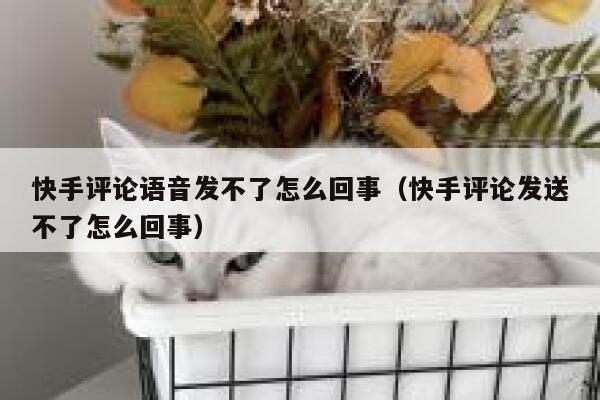 快手评论语音发不了怎么回事（快手评论发送不了怎么回事） 第1张