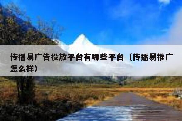 传播易广告投放平台有哪些平台（传播易推广怎么样） 第1张