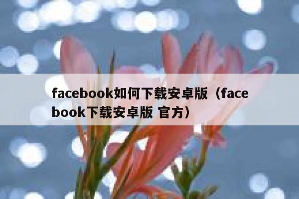 facebook如何下载安卓版（facebook下载安卓版 官方） 第1张