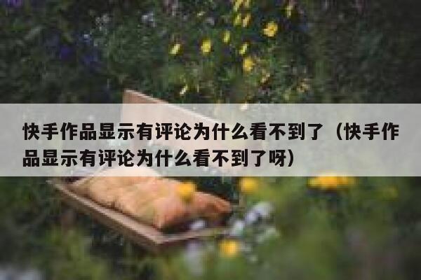快手作品显示有评论为什么看不到了（快手作品显示有评论为什么看不到了呀） 第1张