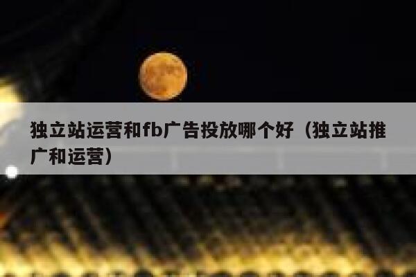 独立站运营和fb广告投放哪个好（独立站推广和运营） 第1张
