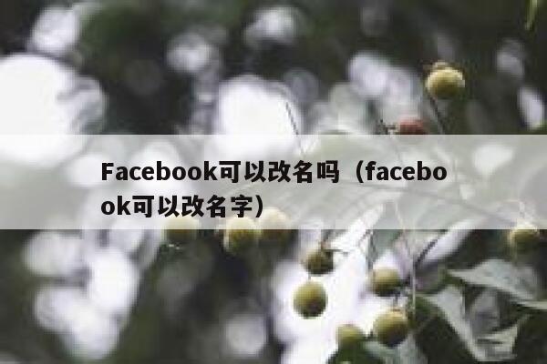 Facebook可以改名吗（facebook可以改名字） 第1张