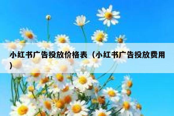 小红书广告投放价格表（小红书广告投放费用） 第1张
