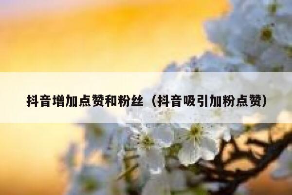 抖音增加点赞和粉丝（抖音吸引加粉点赞） 第1张