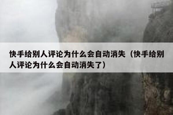 快手给别人评论为什么会自动消失（快手给别人评论为什么会自动消失了） 第1张