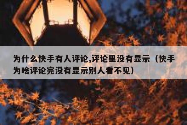 为什么快手有人评论,评论里没有显示（快手为啥评论完没有显示别人看不见） 第1张