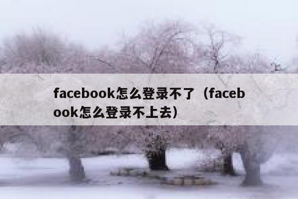 facebook怎么登录不了（facebook怎么登录不上去） 第1张
