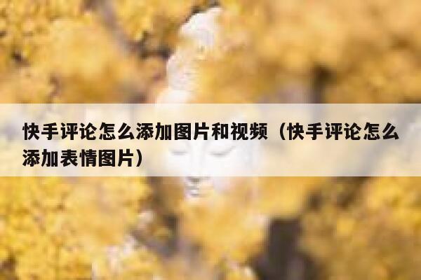快手评论怎么添加图片和视频（快手评论怎么添加表情图片） 第1张