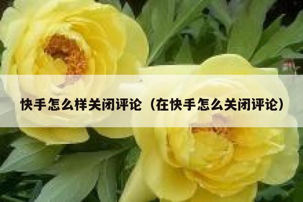 快手怎么样关闭评论（在快手怎么关闭评论） 第1张