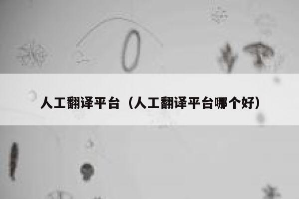 人工翻译平台（人工翻译平台哪个好） 第1张