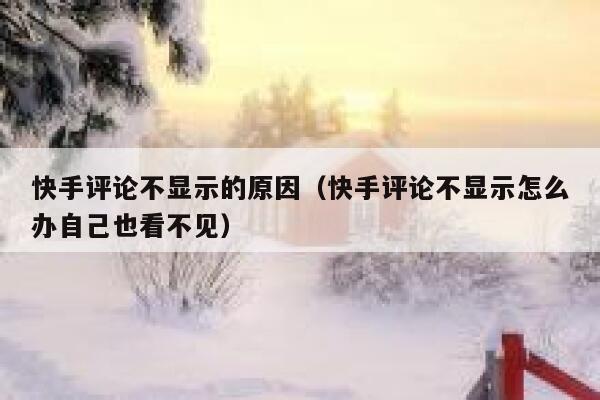 快手评论不显示的原因（快手评论不显示怎么办自己也看不见） 第1张