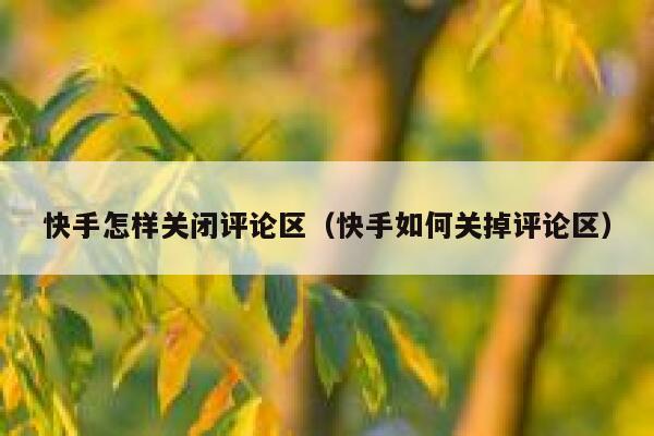 快手怎样关闭评论区（快手如何关掉评论区） 第1张