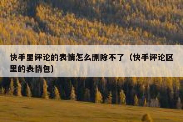 快手里评论的表情怎么删除不了（快手评论区里的表情包） 第1张