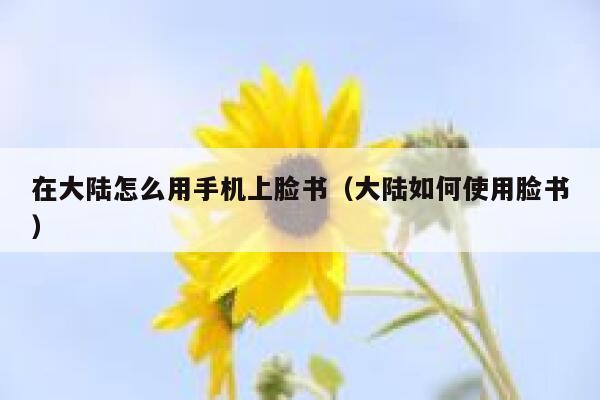 在大陆怎么用手机上脸书（大陆如何使用脸书） 第1张